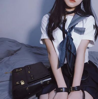 Набор для связывания в сумке LOCKINK Detachable JK Bag For Sex Toy Storage & Bondage Play картинка