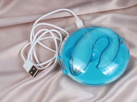 Вібратор для пар з пультом ДК та зарядним кейсом FairyGasm PleasureBerry blue зображення