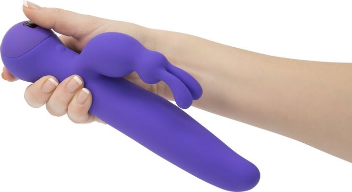 Вибратор-кролик с сенсорным управлением Touch by SWAN Duo Purple (фиолетовый) картинка
