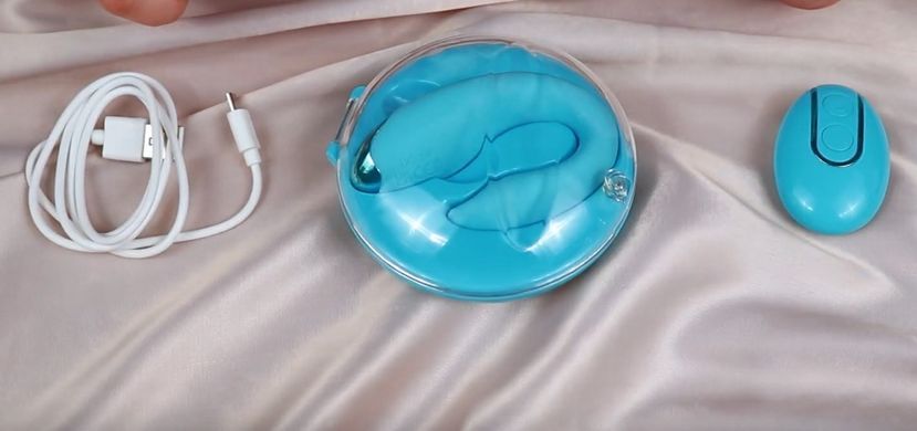 Вібратор для пар з пультом ДК та зарядним кейсом FairyGasm PleasureBerry blue зображення