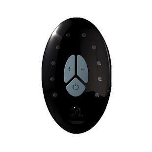 Запасной пульт ДУ Adrien Lastic LRS (Lastic remote system) + cable (упаковка пакет) картинка