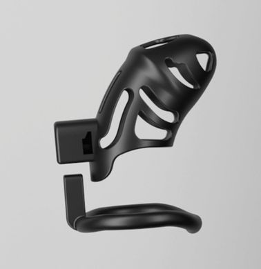 Клітка для пеніса з замком LOCKINK SEVANDA Plastic Penis Chastity Cage Transparent зображення