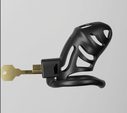 Клітка для пеніса з замком LOCKINK SEVANDA Plastic Penis Chastity Cage Transparent зображення