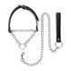 Нашийник з повідцем Bedroom Fantasies: Collar with Chain Silver картинка 2