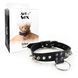 Чоловічий чокер з шипами та кільцем Art of Sex Stiles Leather and Spikes картинка 2