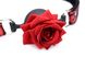 Кляп з трояндою Master Series Eye-Catching Ball Gag With Rose (діаметр 4,3 см) картинка 4