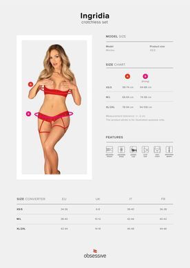Откровенный комплект с кружевом Obsessive Ingridia 2-pcs crotchless set, размер XL/2XL картинка