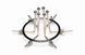 Анальный расширитель Master Series Oculus Stainless Steel Anal Explorer картинка 1