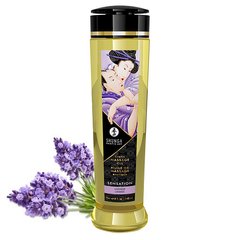 Массажное масло увлажняющее Shunga Sensation Lavender, лаванда (240 мл) картинка