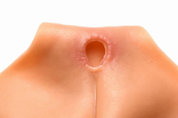 Шорты с накладной вагиной Master Series Silicone Vagina + Butt Panties Large картинка