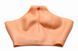 Шорты с накладной вагиной Master Series Silicone Vagina + Butt Panties Large картинка 9