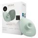 Щетка для очистки лица с держателем GESKE Facial Brush 4в1 green картинка