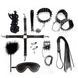 Набор из натуральной кожы Art of Sex Spikes BDSM Set Leather (10 предметов) картинка 1