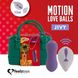 Вагинальные шарики с движением вверх-вниз и вибрацией FeelzToys Motion Love Balls Jivy (пульт ДУ + сумочка-косметичка) картинка 1