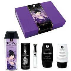 Подарунковий набір Shunga Naughtier Kit (5 засобів) зображення