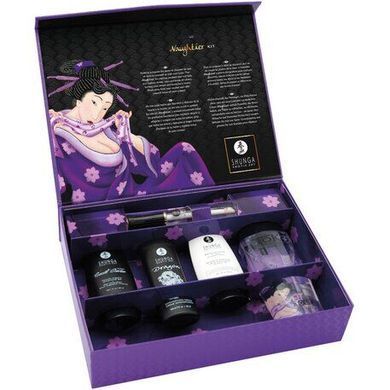 Подарочный набор Shunga Naughtier Kit (5 средств) картинка
