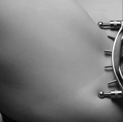 Зажим для половых губ с шипами Master Series Spread'Em Poker Vagina Clamp with Adjustable Pressure Screws картинка