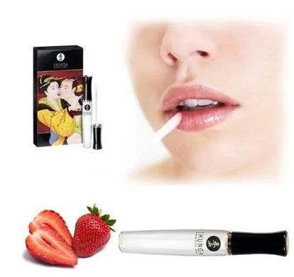Подарочный набор Shunga Naughtier Kit (5 средств) картинка