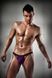Чоловічі еротичні труси Passion 006 SLIP violet L/XL, Фіолетові картинка 1