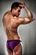 Чоловічі еротичні труси Passion 006 SLIP violet L/XL, Фіолетові картинка 2