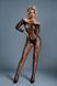 Ажурний бодістокінг з відкритим доступом Caprice Lingerie Model 10 One size Black картинка 1