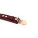 Нашийник з повідцем Liebe Seele Wine Red Curved Collar картинка 6
