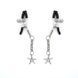Затискачі для сосків з морською зіркою Liebe Seele Starfish Nipple Clamps Silver картинка 1