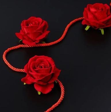 Мотузка для шибарі LOCKINK SEVANDA Shibari Pratice Rope Red (8 метрів) зображення
