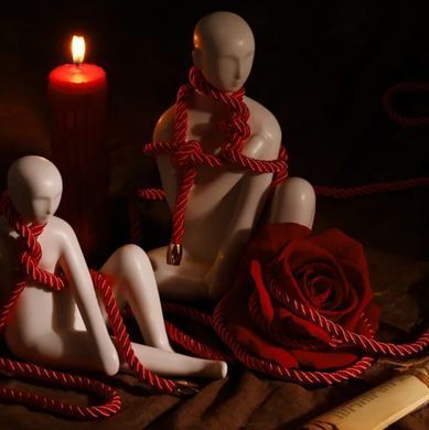 Мотузка для шибарі LOCKINK SEVANDA Shibari Pratice Rope Red (8 метрів) зображення