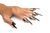 Набор колец с когтями Master Series Five-Piece Sensation Claw Rings Silver (5 шт) картинка