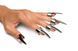 Набор колец с когтями Master Series Five-Piece Sensation Claw Rings Silver (5 шт) картинка 1