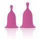 Менструальні чаші RIANNE S Femcare Cherry Cup (розмір S і M) картинка 2