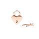 Замочок серце з ключами Liebe Seele Heart Shape Padlock Rose Gold (2 шт) зображення