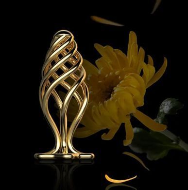 Металлическая анальная пробка LOCKINK SEVANDA Hollow Spiral Golden Metal Anal Plug, размер S (диаметр 2,6 см) картинка