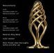 Металлическая анальная пробка LOCKINK SEVANDA Hollow Spiral Golden Metal Anal Plug, размер S (диаметр 2,6 см) картинка 10