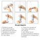 Мастурбатор с мягким корпусом и подставкой Tenga FLEX Silky White картинка 7