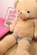 Ремни для секс-машины KISTOY Tutu accessories straps картинка 3