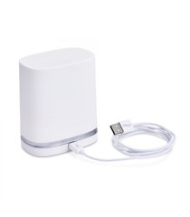 Кейс/зарядная станция и кабель для зарядки We-Vibe Chorus Charger & Travel Case w/USB Cable картинка