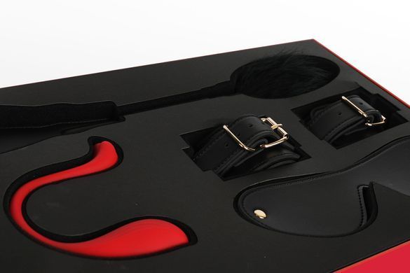 Премиальный подарочный набор для нее Svakom Limited Gift Box (+ интерактивное виброяйцо) картинка
