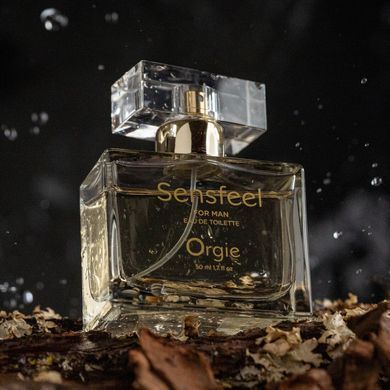 Чоловічі парфуми з феромонами Orgie Sensfeel for Man (50 мл), цитрусово-деревний аромат зображення