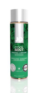 Оральна змазка System JO H2O Cool mint (освіжаюча м'ята) 120 мл зображення