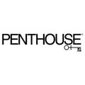 Penthouse (Германия) картинка