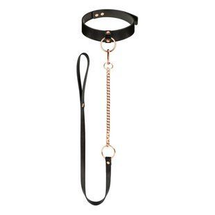 Нашийник з повідцем Rosy Gold Collar with Leash Black зображення