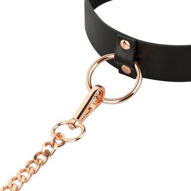 Ошейник с поводком Rosy Gold Collar with Leash Black картинка