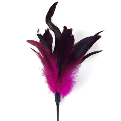 Лоскоталочка темно-рожева з пера молодого півня Art of Sex Feather Paddle зображення