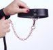 Ошейник с поводком Rosy Gold Collar with Leash Black картинка 10