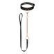 Ошейник с поводком Rosy Gold Collar with Leash Black картинка 1