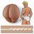 Мастурбатор чоловіча попка Fleshjack Power Bottom зображення