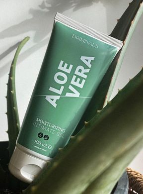 Зволожуючий гель-лубрикант на водній основі Driminals Aloe Vera, екстракт алое (100 мл)  зображення