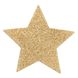 Прикраса на соски (зірка) Bijoux Indiscrets - Flash Star Gold (Золота) картинка 2